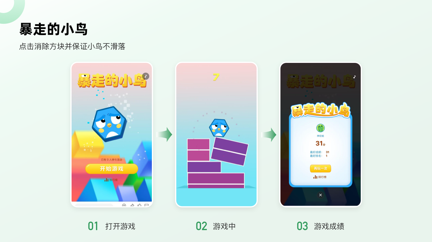 暴走的小鸟.png