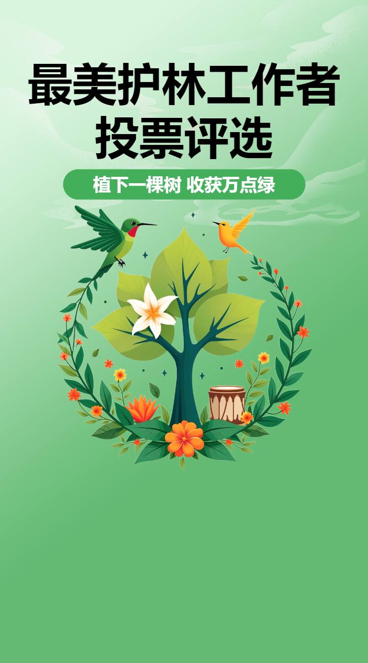头图