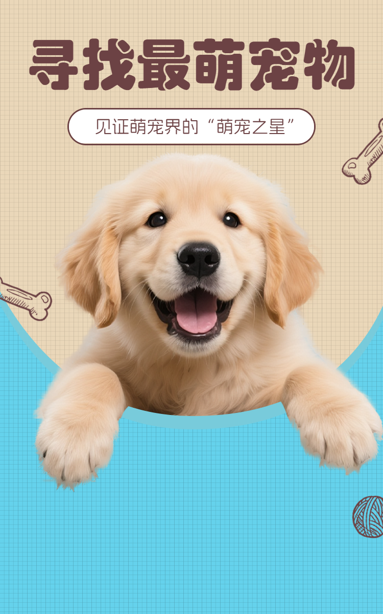 头图