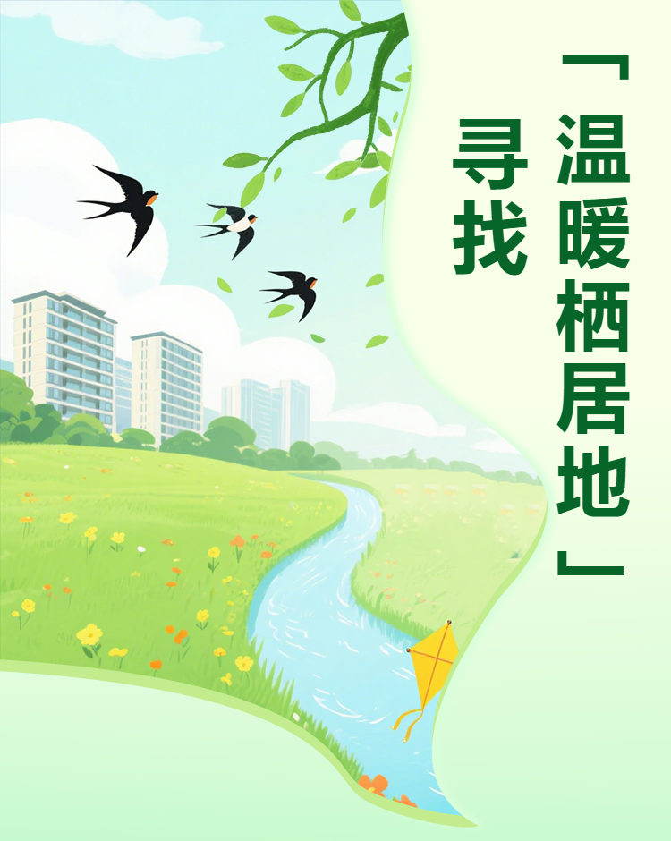 头图